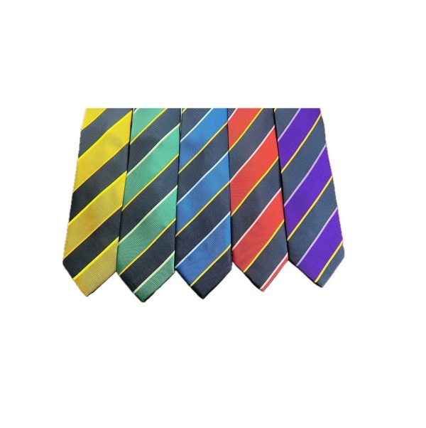 Tupton Hall School Tie