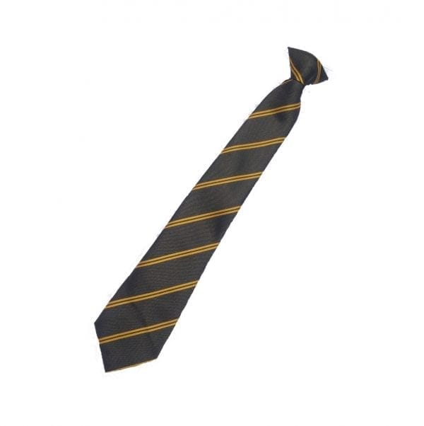 UTC Doncaster Year 9 Clip on Tie (Gold)