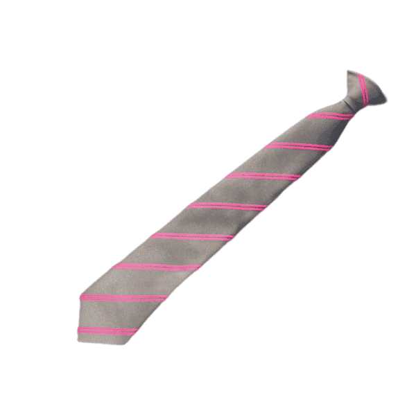 UTC Doncaster Year 11 Clip-on Tie (Pink)