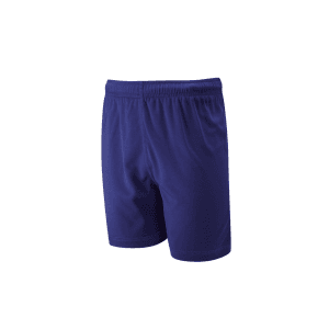 Game Shorts Royal Blue