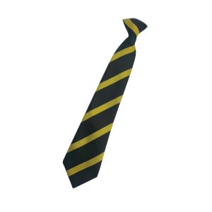 Armthorpe Academy Gold Stripe Clip on Tie