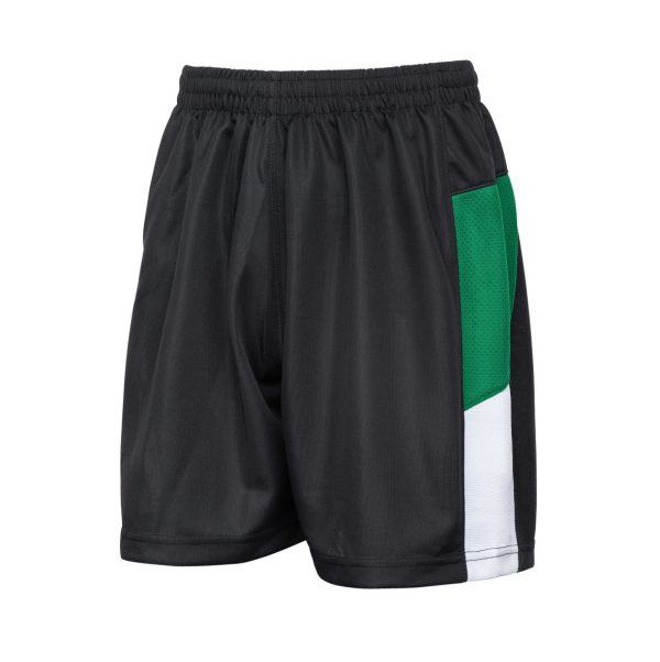 Brunts NEW Game Shorts