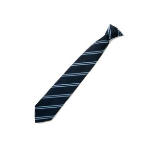 Astrea Acad Woodfields Navy/Blue Tie