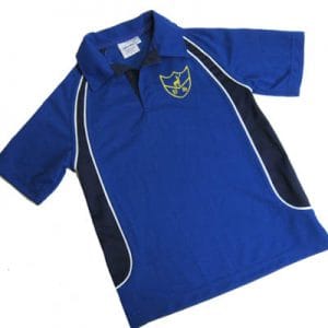 Park School Year 3-6 Boys Royal Blue/Navy Polo Shirt