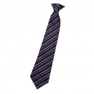 The Queen Elizabeth Academy Tie