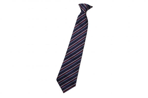 The Queen Elizabeth Academy Tie