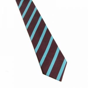 The Ecclesbourne School Tie