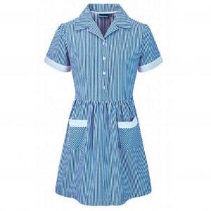 St Crispins Girls Summer Dress